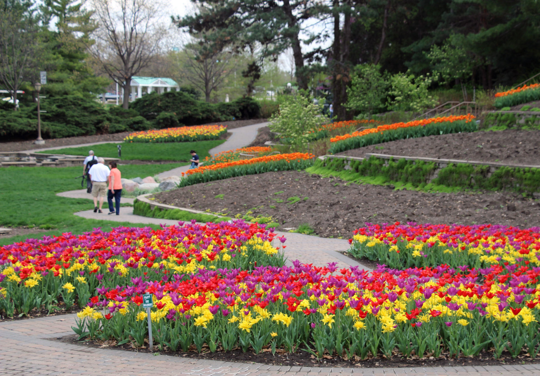 Sunken Gardens 2017